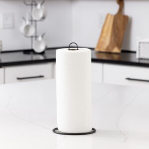 Structured Simple Freestanding Metal Paper Towel Holder